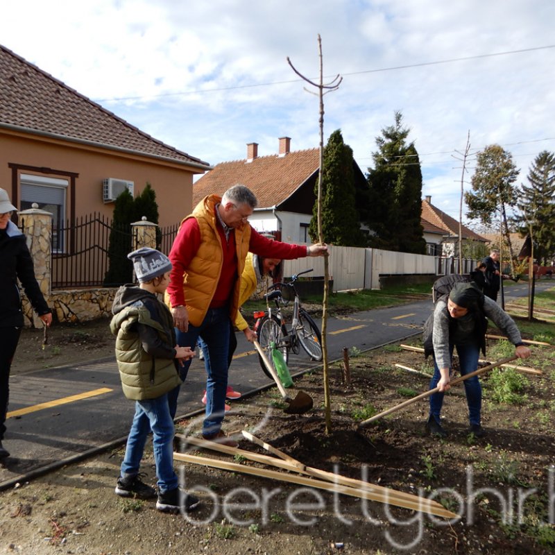 Közösségi faültetés Berettyóújfaluban 34